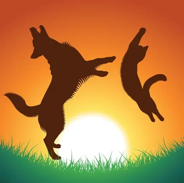 Pension pour chiens et chats "Fleurécompagnie" (61)